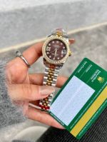 ROLEX Datejust 31 Replica Log  Datejust 31MM Wrist Lady Brown Watch